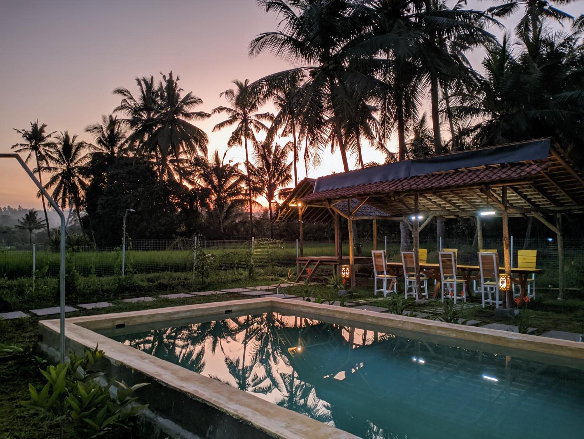 Wooden Kemiren Homestay Banyuwangi Banyuwangi  Exteriör bild