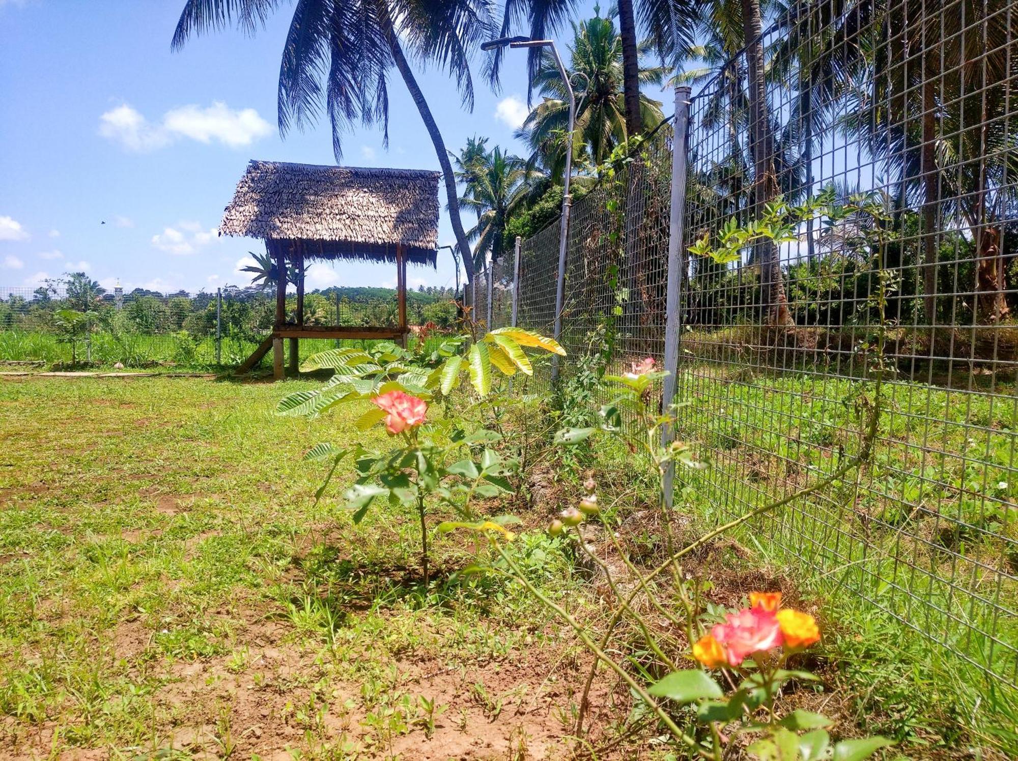 Wooden Kemiren Homestay Banyuwangi Banyuwangi  Exteriör bild
