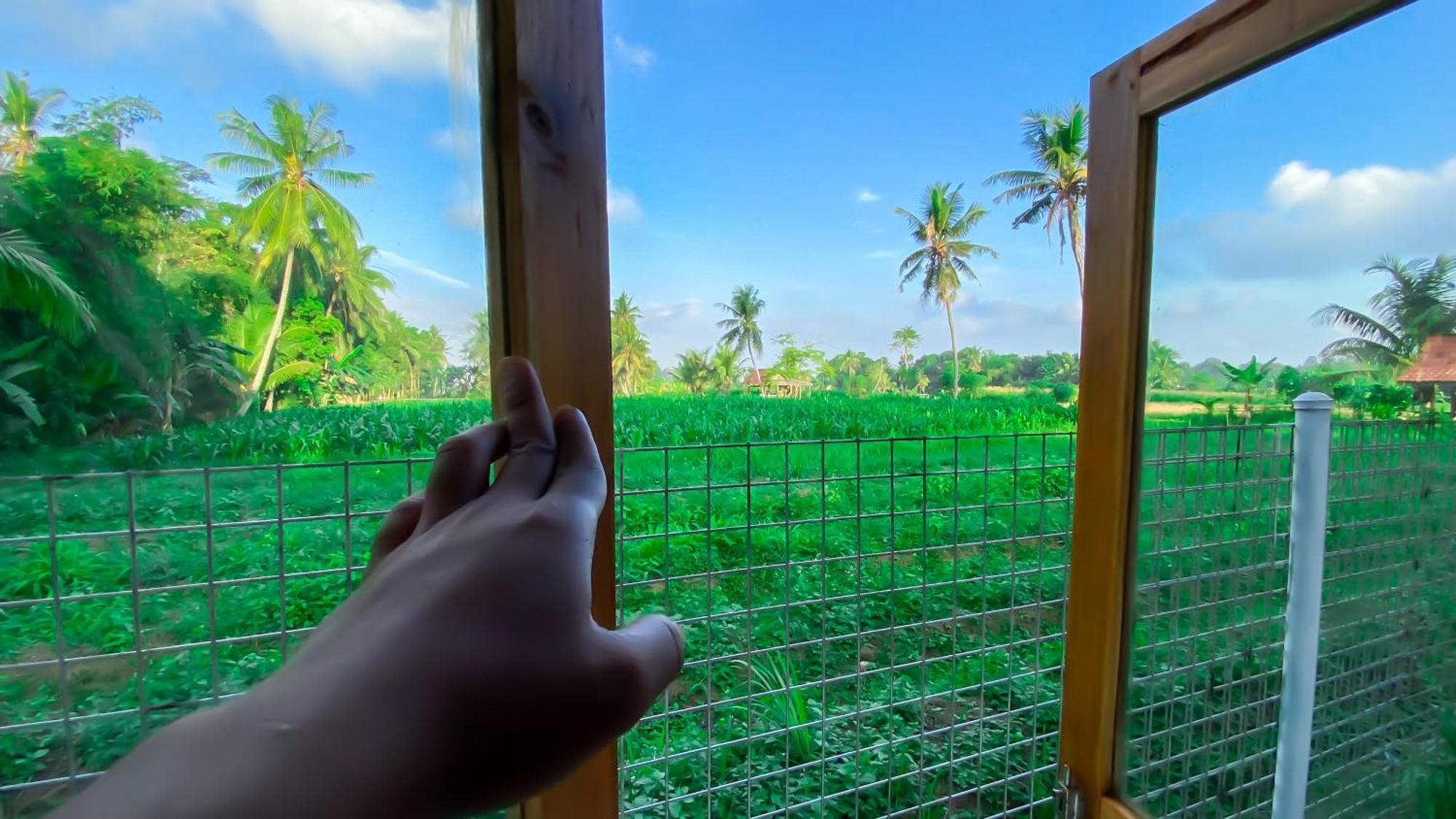 Wooden Kemiren Homestay Banyuwangi Banyuwangi  Exteriör bild